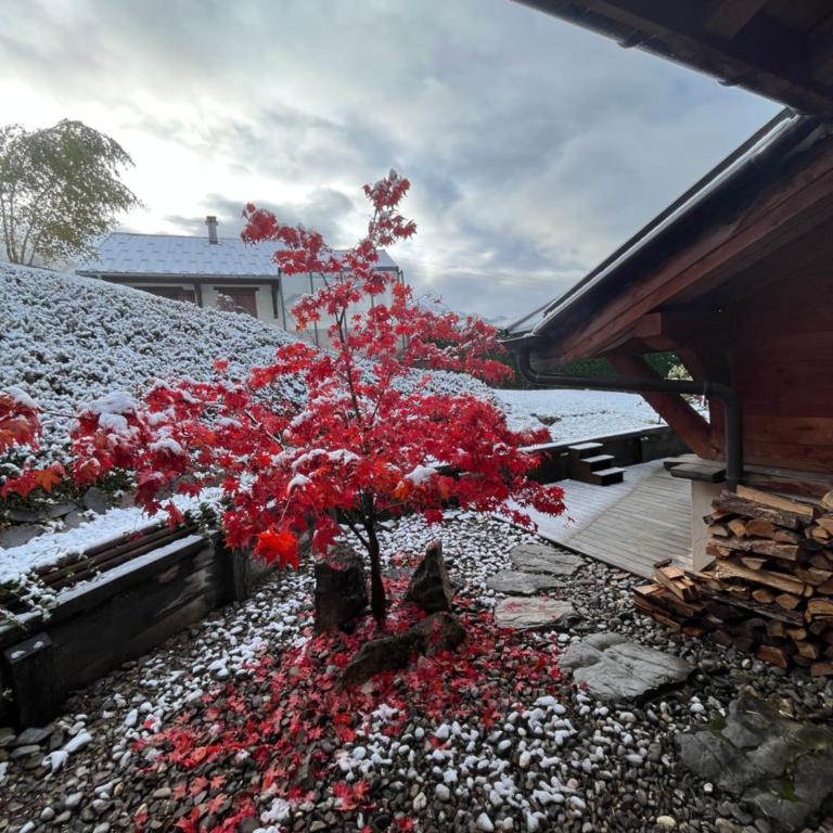 Chalet Mathilde - Morzine - Chalet Superior - 46