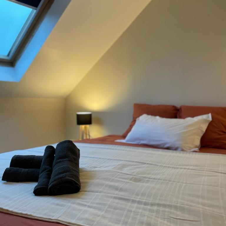 LE COCON : 2 chambres - Centre-ville - Appartement 2 Chambres - 3