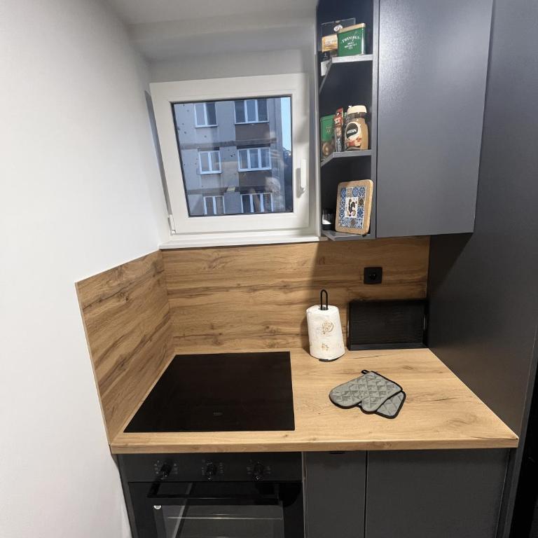 Avantgarde Apartment - Apartman sa 2 Spavaće Sobe - 7