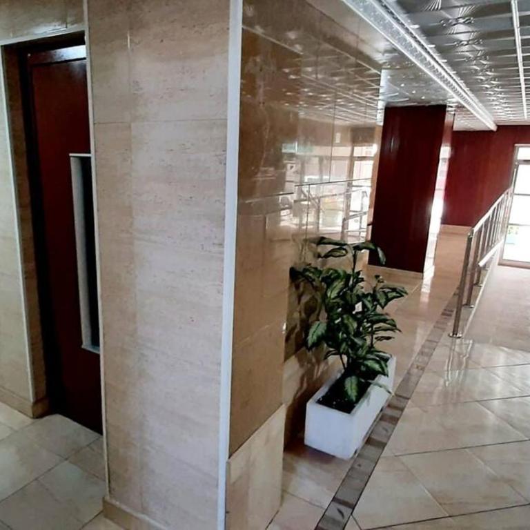 Apartament typu studio Santa Pola - Apartamento de 1 dormitorio - 13