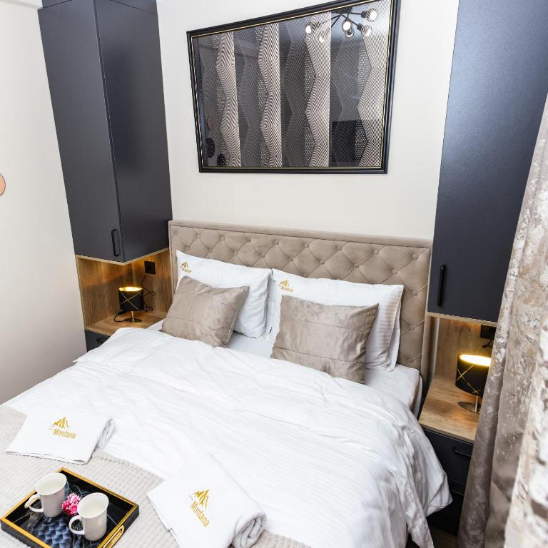 SkyLux Montana - One-Bedroom Apartment - 16