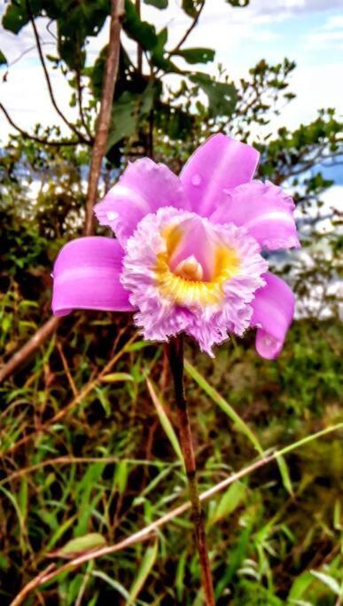 Suite entre los árboles Hotel Portal 360 - One-Bedroom Apartment - 27