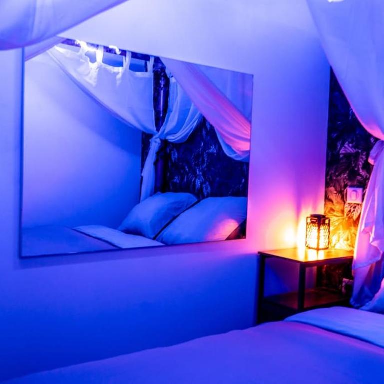 Tropical Jungle Loveroom Pau centre - Appartement 1 Chambre - 8