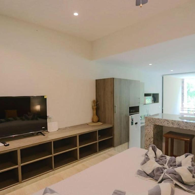 SYRENA luxury studio 207 - One-Bedroom Apartment - 10