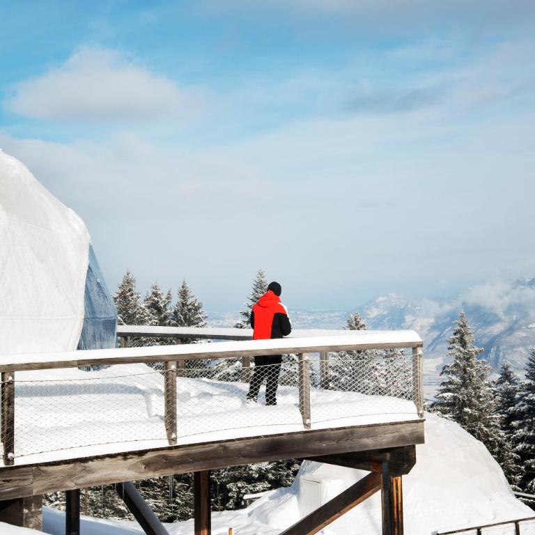 Whitepod Original - Kapselzimmer Cosy - 2