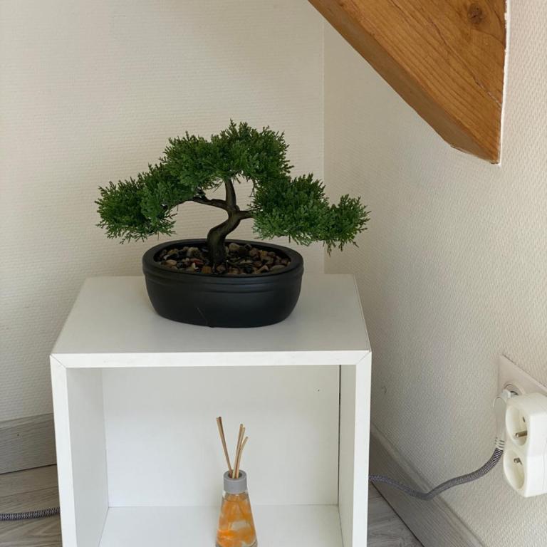 Esprit Jaune - Cosy studio Salengro - Sauna & Sport club - Apartment mit 1 Schlafzimmer - 10