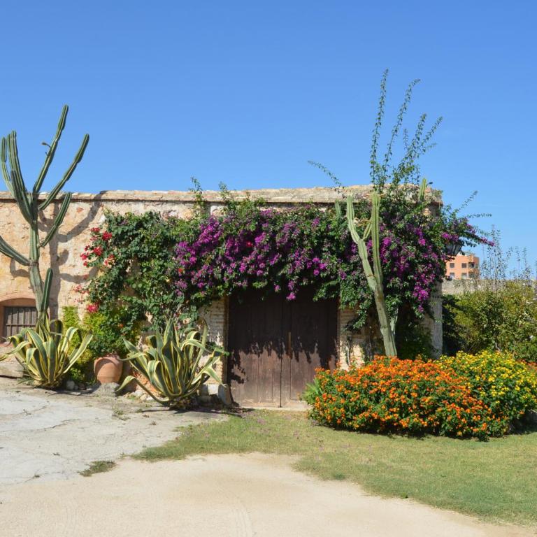 Anacasa Oliva Partida Canyaes CH752 - Three-Bedroom House - 10
