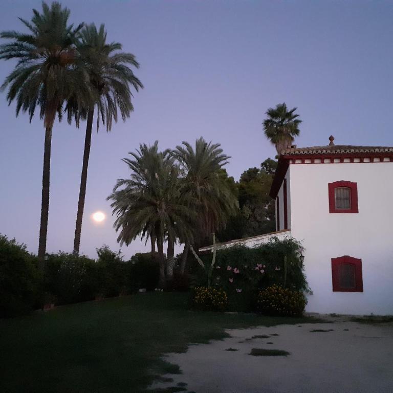 Anacasa Oliva Partida Canyaes CH752 - Three-Bedroom House - 28