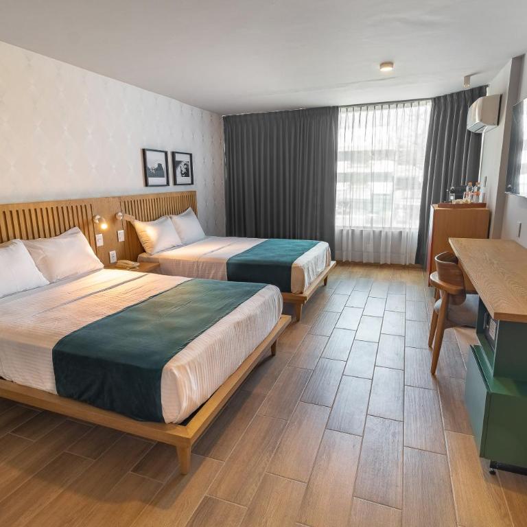 Oliva Plaza Hotel - Habitación Doble - 2 camas - 5