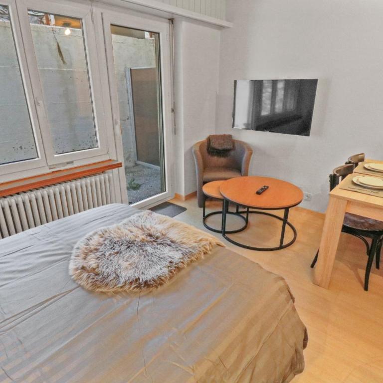 Chaleureux appartement plein centre - Apartamento de 1 dormitorio - 9