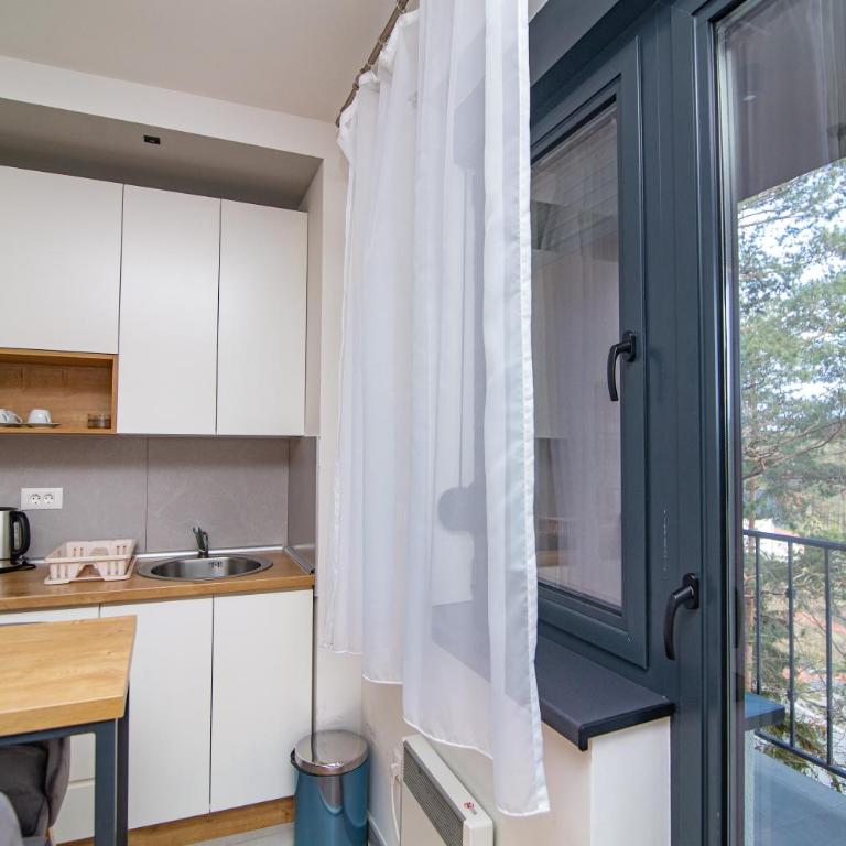 Titova Vila Zlatibor - Apartman - 17