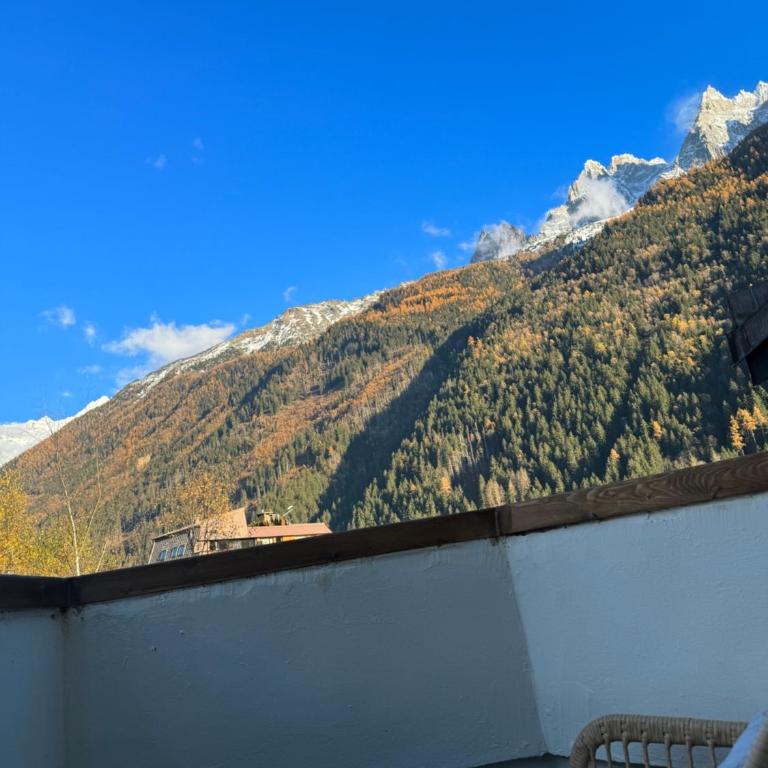 Cocon au cœur de Chamonix avec parking gratuit - Appartamento con 1 Camera da Letto - 40