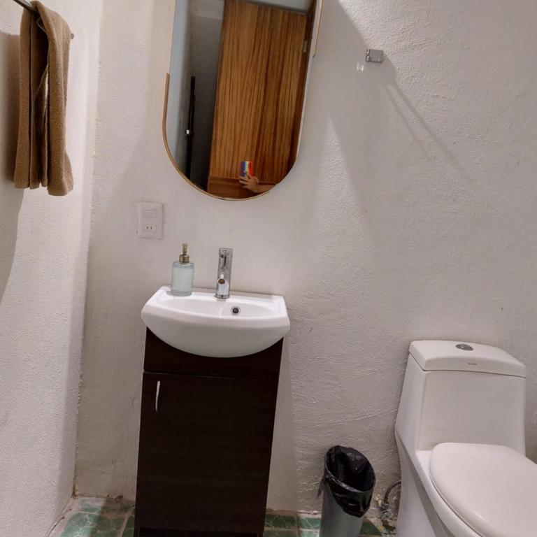 Casa Monarcas - Sophia (with AC) - One-Bedroom Apartment - 14
