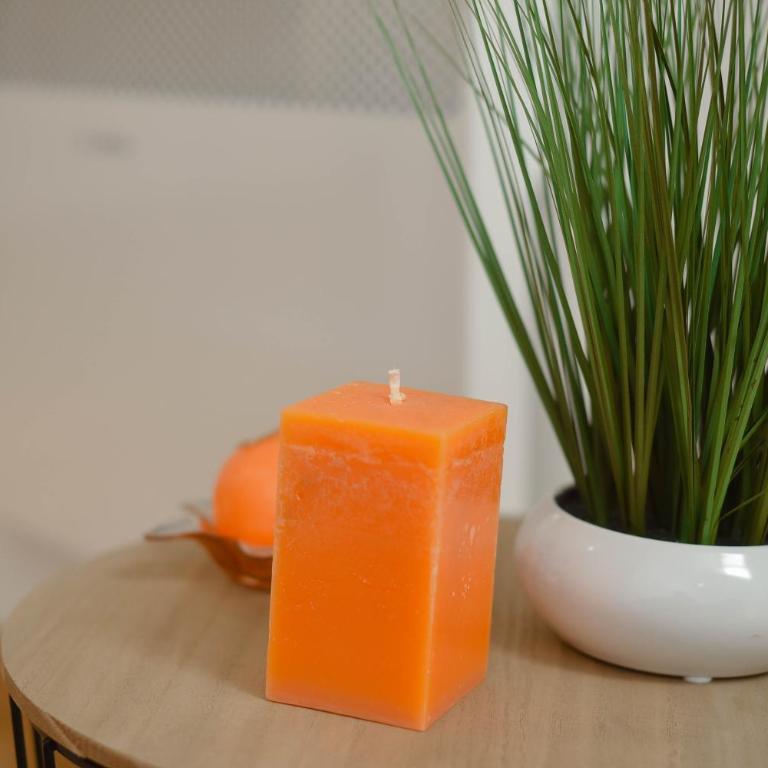 Apartman San Wellness & Spa Zlatibor - One-Bedroom Apartment - 50