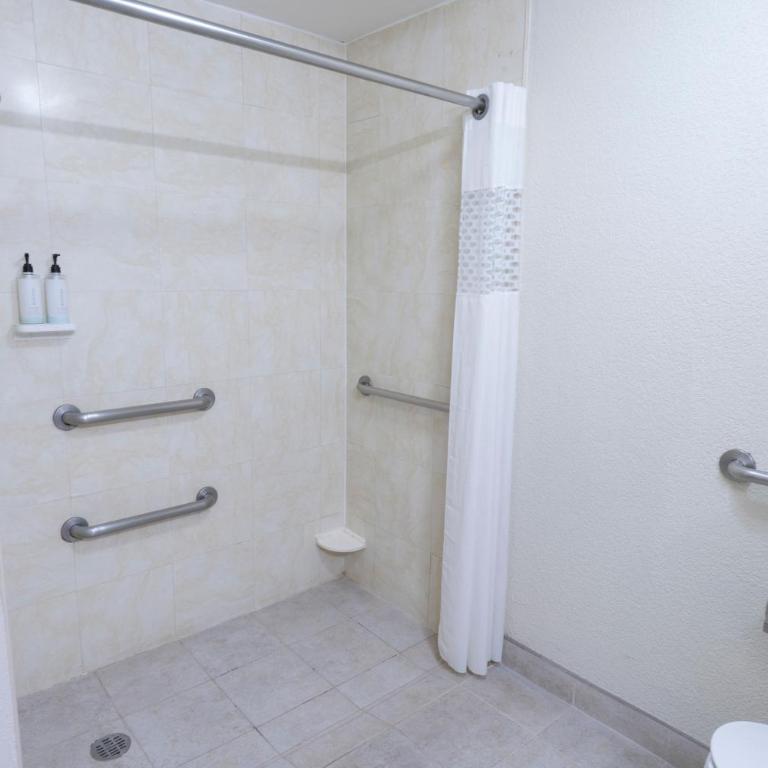 Hampton Inn by Hilton Guadalajara-Aeropuerto - King Room - Disability Access/Non-Smoking - 1