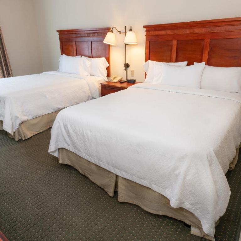 Hampton Inn by Hilton Guadalajara-Aeropuerto - Room with Two Queen Beds - Non-Smoking - 4