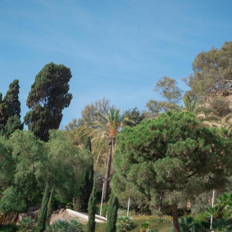 Picasso Premium Apartment - Apartamento - 71