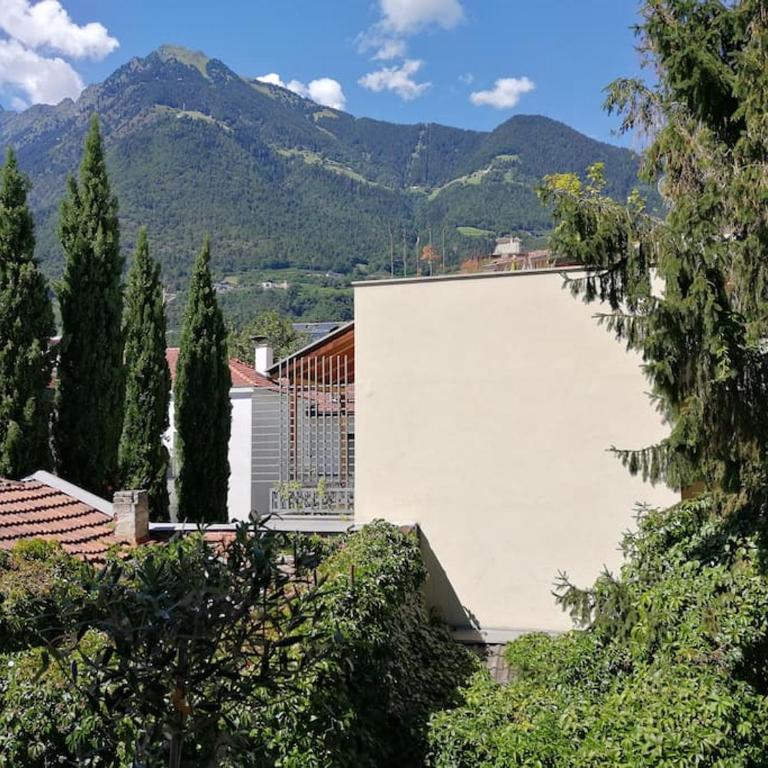 Appartement Laurin guestcard incl - Appartamento con 1 Camera da Letto - 1