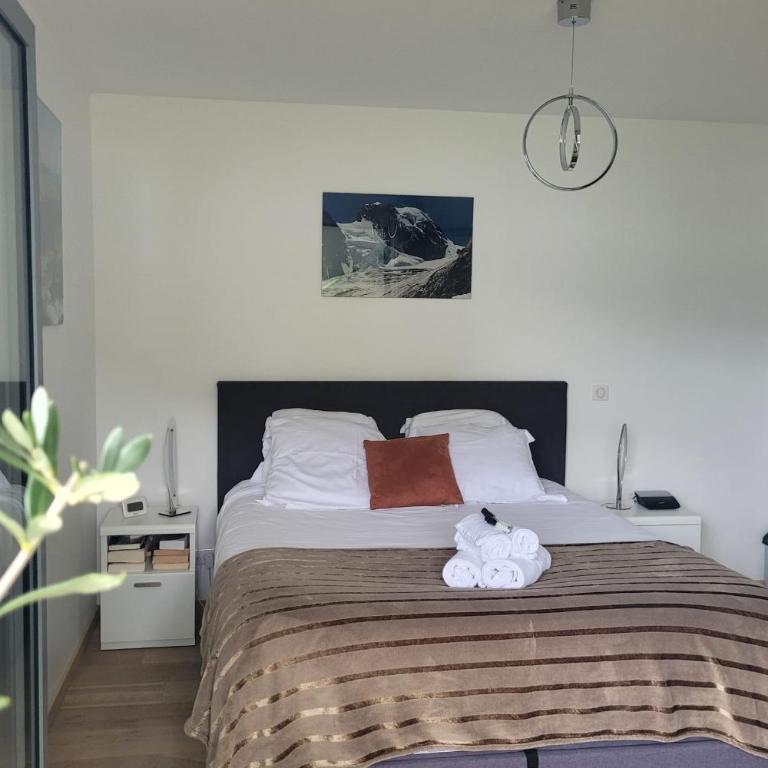 Le Tableau du Lac 507 - 2 chambres avec terrasse vue Lac et Parc - Appartement - 12