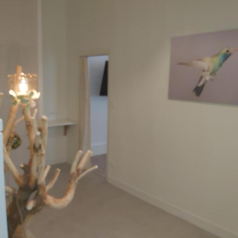 Vichy Sejour - Ferienhaus - 21