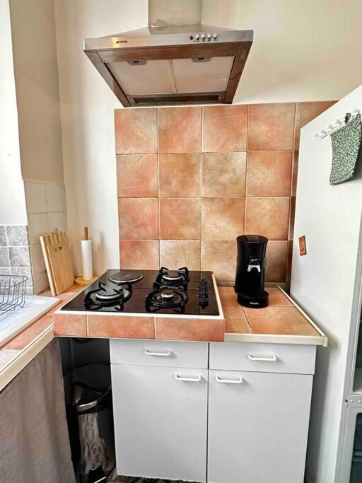 Grand T2 de Caractère - Apartment mit 1 Schlafzimmer - 16