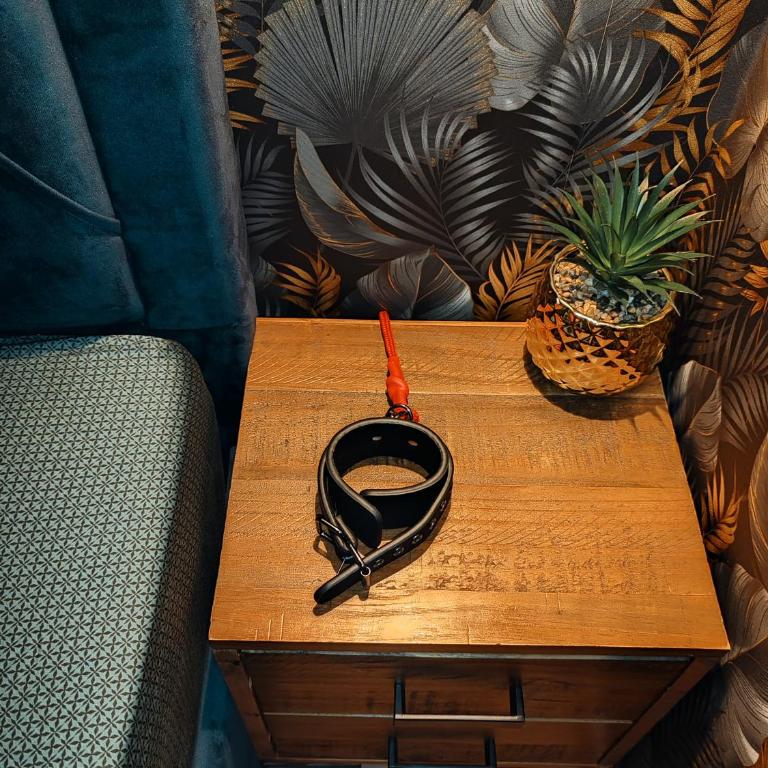 Le Quai Amiénois - Romance Tropicale - SPA Romantique - Deluxe Apartment - 16