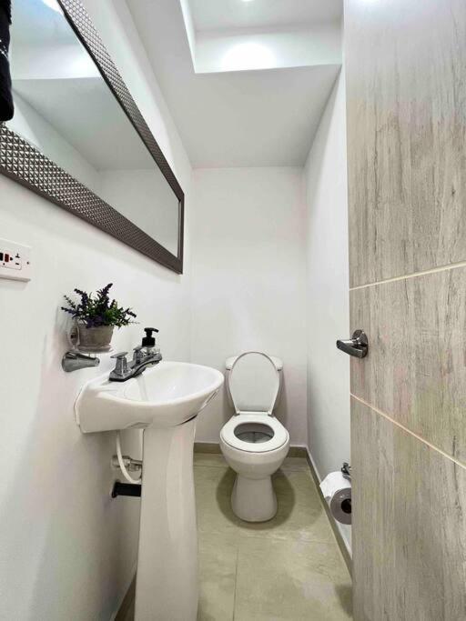 Apartamento nuevo, central, hermosa vista. - Apartamento de 1 dormitorio - 24