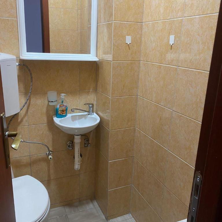 Apartman Rankovic - Apartman sa 1 Spavaćom Sobom - 7