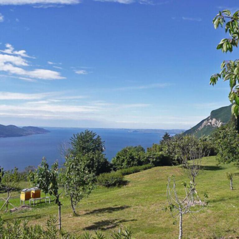 Tignale - Appartement BELVEDERE ALLEGRA 101 - Ferienwohnung am Gardasee mieten - Appartamento con Vista Lago - 21