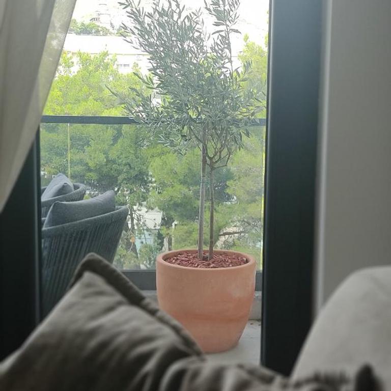 Avisi Living - Apartman sa 2 Spavaće Sobe - 6