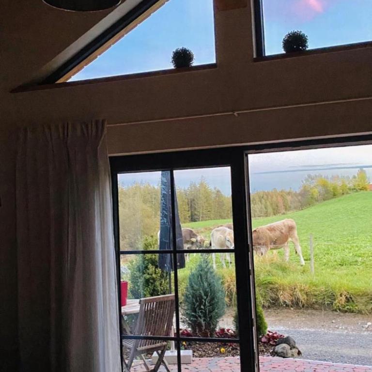 Die Schorenmoos-Lodge - Maison de Vacances - 26
