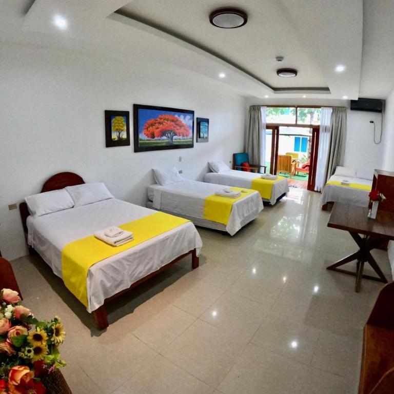 Galápagos Isabela Hotel Loja - Habitación Cuádruple Deluxe - 4
