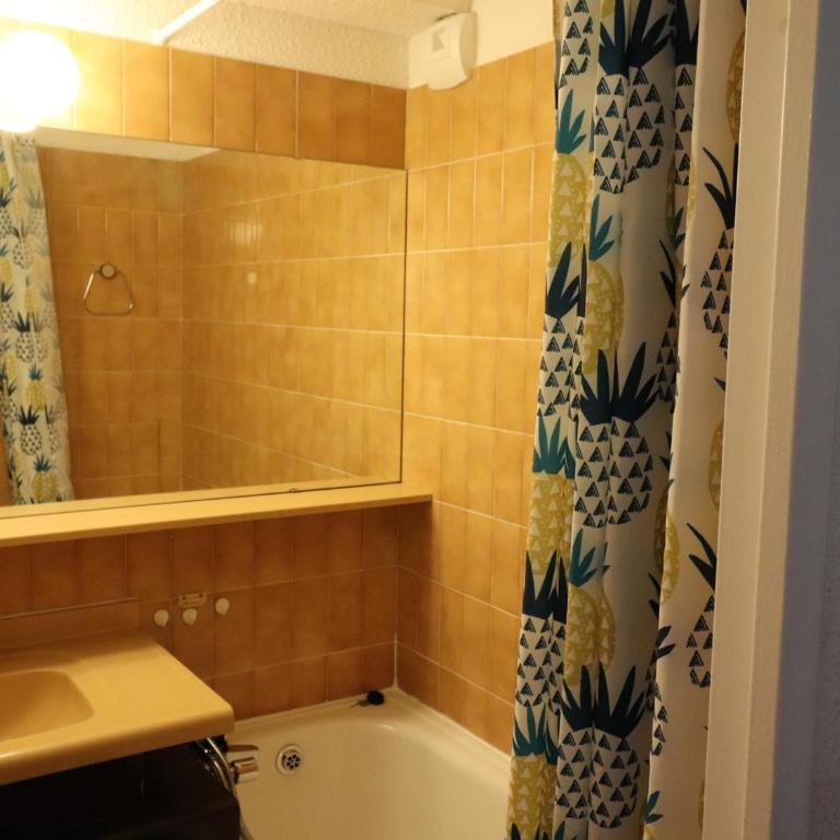 Studio confortable 4 pers · Balcon · Wifi · Animaux admis - FR-1-502-542 - Monolocale - 5