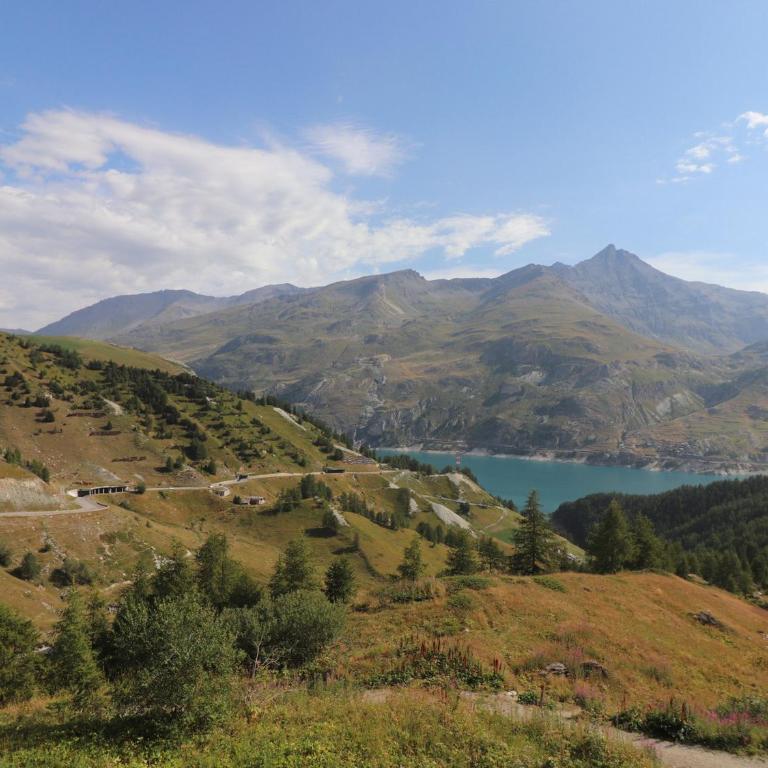 Studio confortable 4 pers · Balcon · Wifi · Animaux admis - FR-1-502-542 - Monolocale - 9
