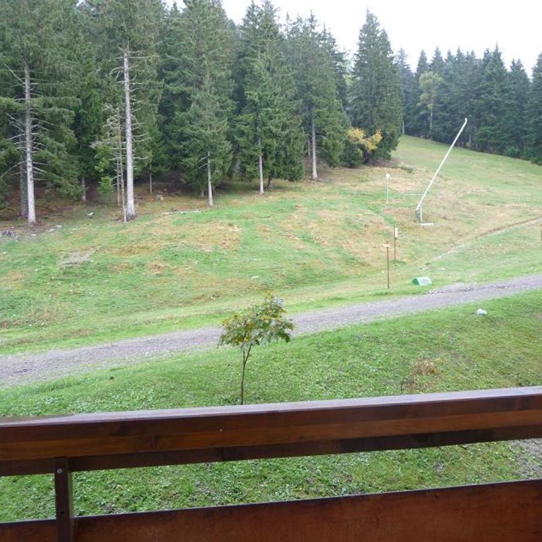 2 pièces aux Adrets, au pied des pistes, animaux admis - Apartment mit 1 Schlafzimmer - 3
