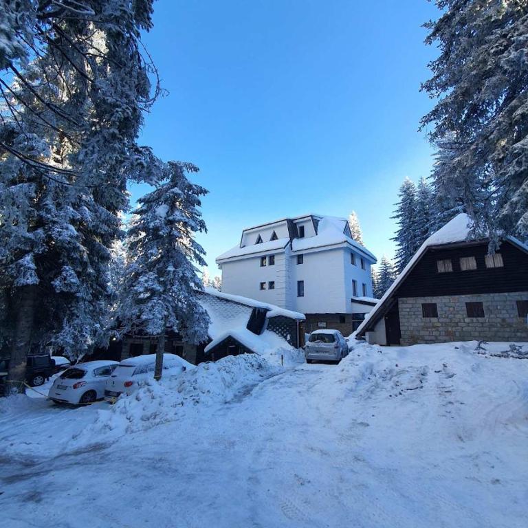 MASSIV Kopaonik centar lux apartmani - Apartman sa 1 Spavaćom Sobom i Pogledom na Park - 1
