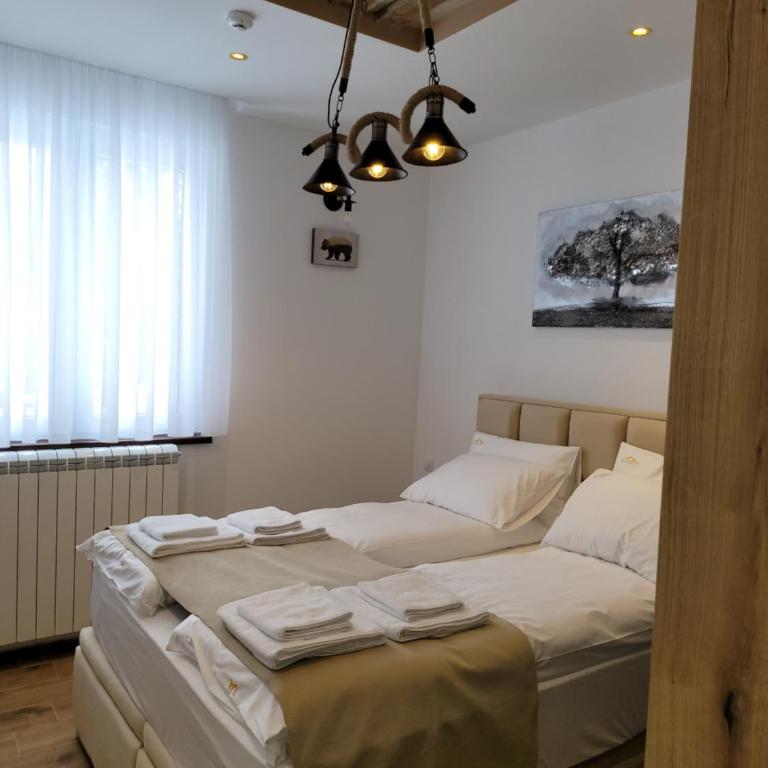 MASSIV Kopaonik centar lux apartmani - Apartman sa 1 Spavaćom Sobom i Pogledom na Park - 5