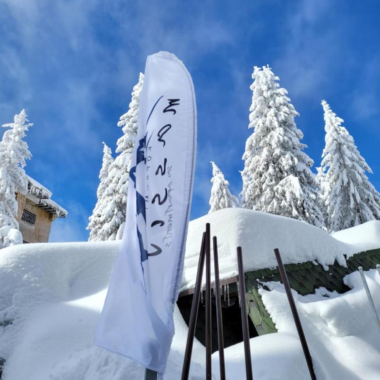MASSIV Kopaonik centar lux apartmani - Apartman sa 1 Spavaćom Sobom i Pogledom na Park - 48
