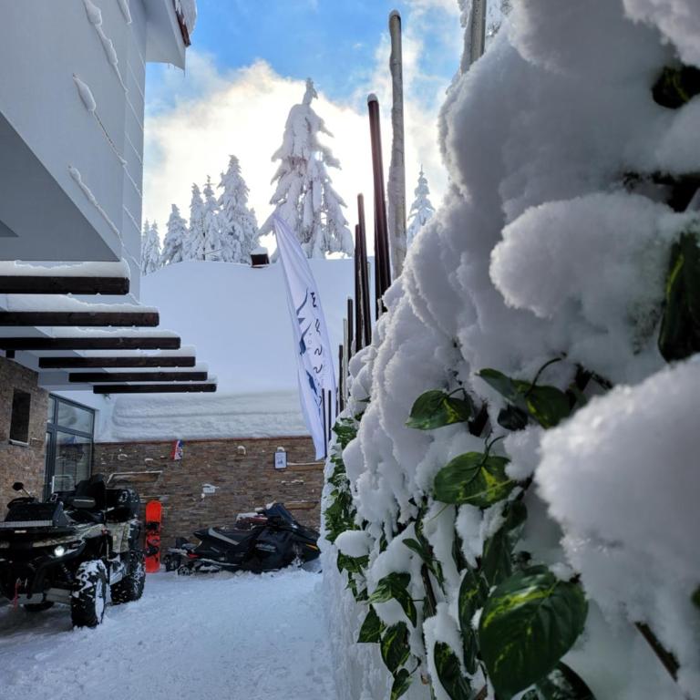 MASSIV Kopaonik centar lux apartmani - Apartman sa 1 Spavaćom Sobom i Pogledom na Park - 15