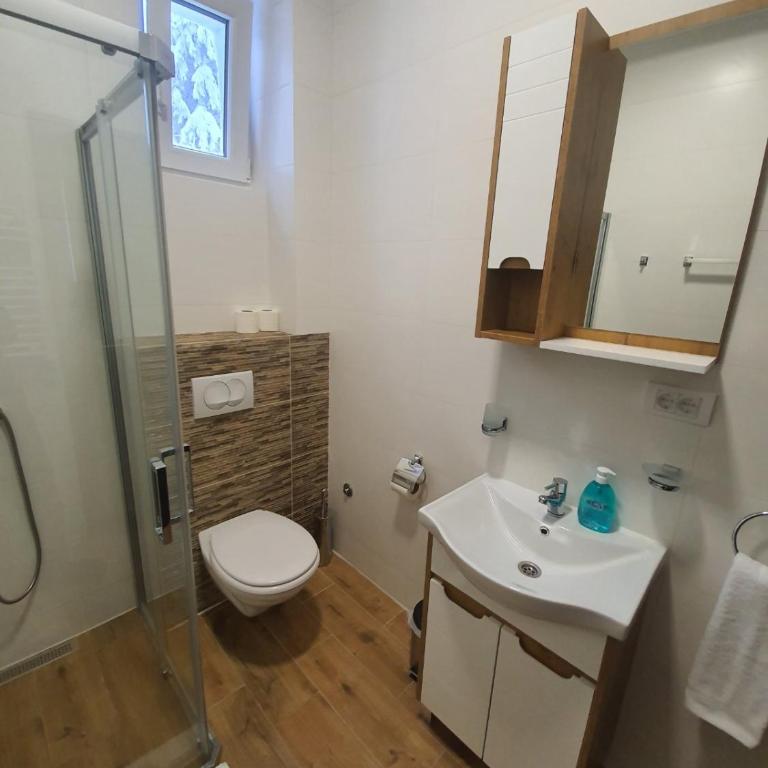 MASSIV Kopaonik centar lux apartmani - Apartman sa 1 Spavaćom Sobom i Pogledom na Park - 32