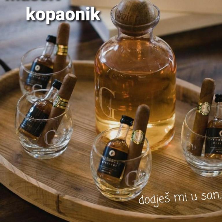 MASSIV Kopaonik centar lux apartmani - Apartman sa 1 Spavaćom Sobom i Pogledom na Park - 41