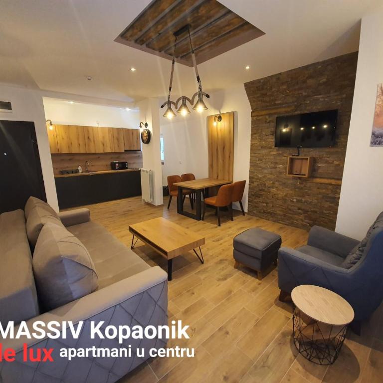MASSIV Kopaonik centar lux apartmani - Apartman sa 1 Spavaćom Sobom i Pogledom na Park - 2