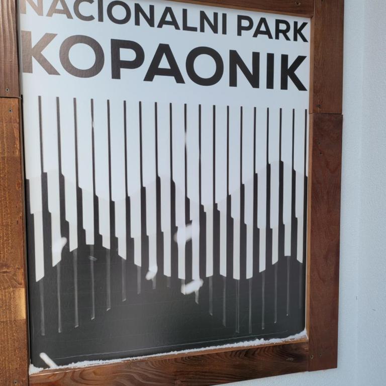 MASSIV Kopaonik centar lux apartmani - Apartman sa 1 Spavaćom Sobom i Pogledom na Park - 18