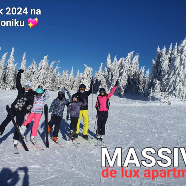 MASSIV Kopaonik centar lux apartmani - Apartman sa 1 Spavaćom Sobom i Pogledom na Park - 7