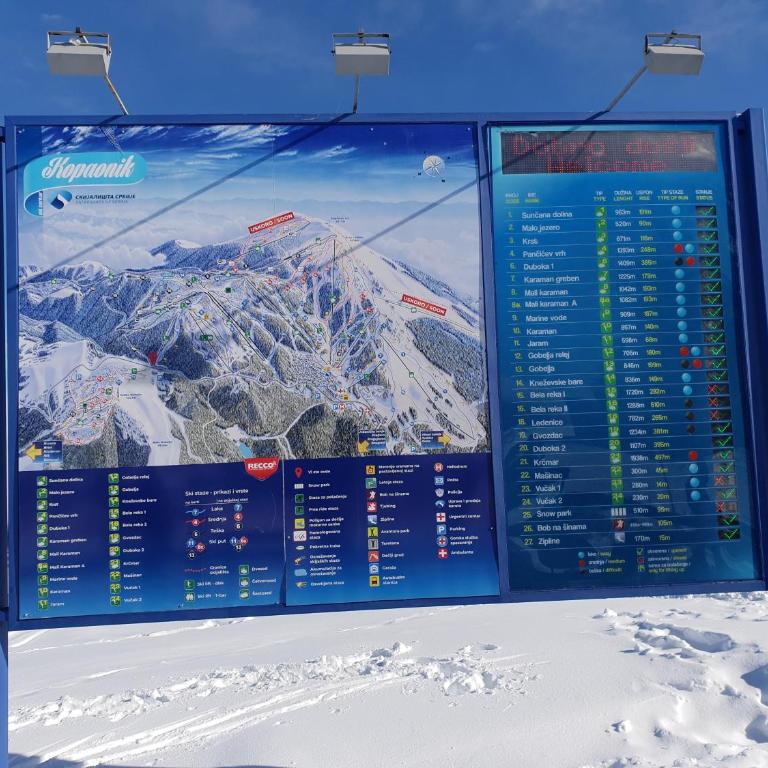 MASSIV Kopaonik centar lux apartmani - Apartman sa 1 Spavaćom Sobom i Pogledom na Park - 49
