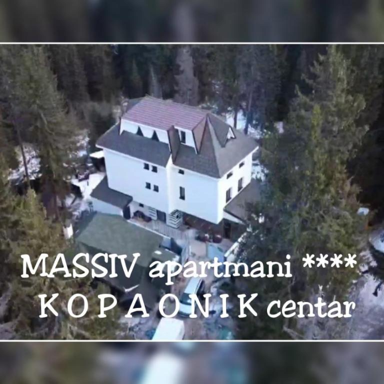 MASSIV Kopaonik centar lux apartmani - Apartman sa 1 Spavaćom Sobom i Pogledom na Park - 46