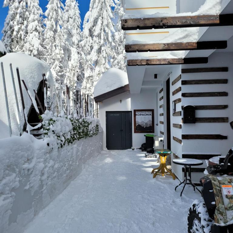 MASSIV Kopaonik centar lux apartmani - Apartman sa 1 Spavaćom Sobom i Pogledom na Park - 57