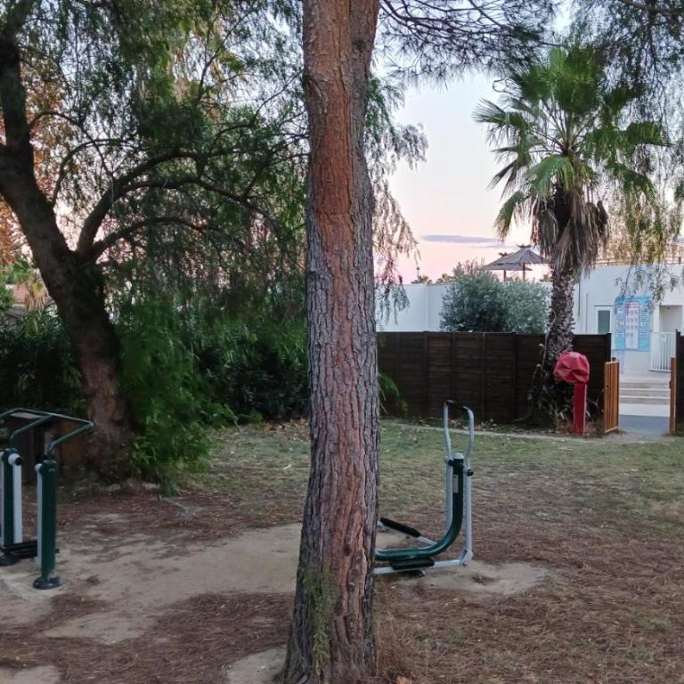 Sun Sea camping le Bosc - Mobile Home - 5