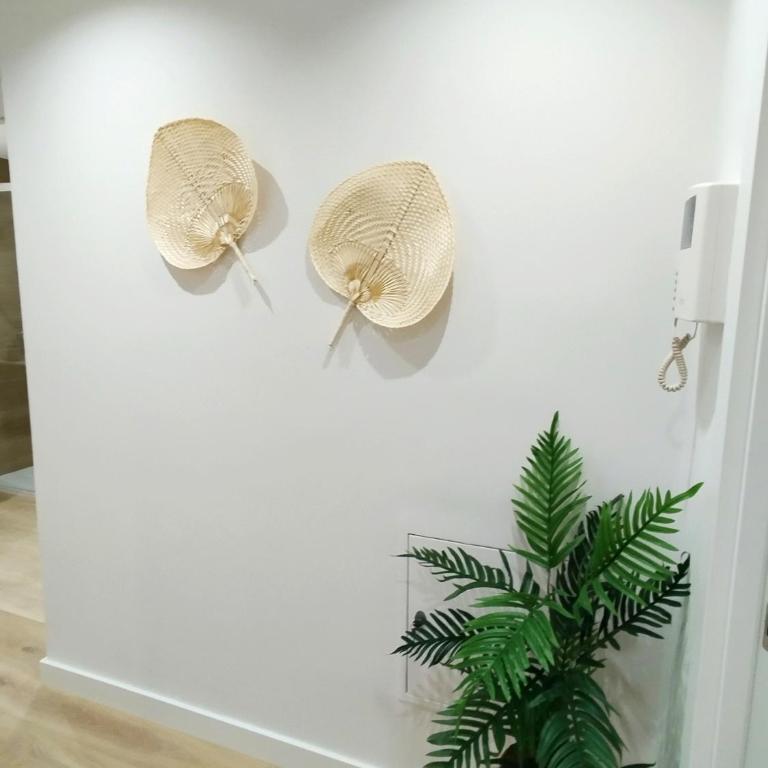 Apartamento junto a Ayuntamiento y Playa - Apartamento de 2 dormitorios - 17