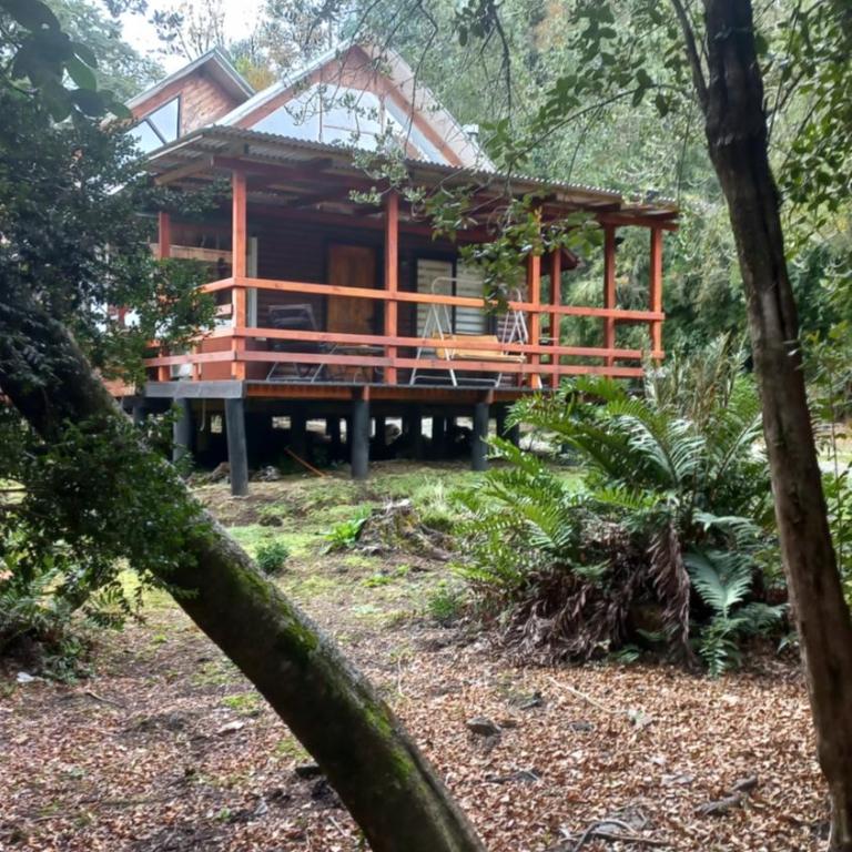 Agradable Cabaña inserta en bosque nativo - Casa de 4 dormitorios - 14